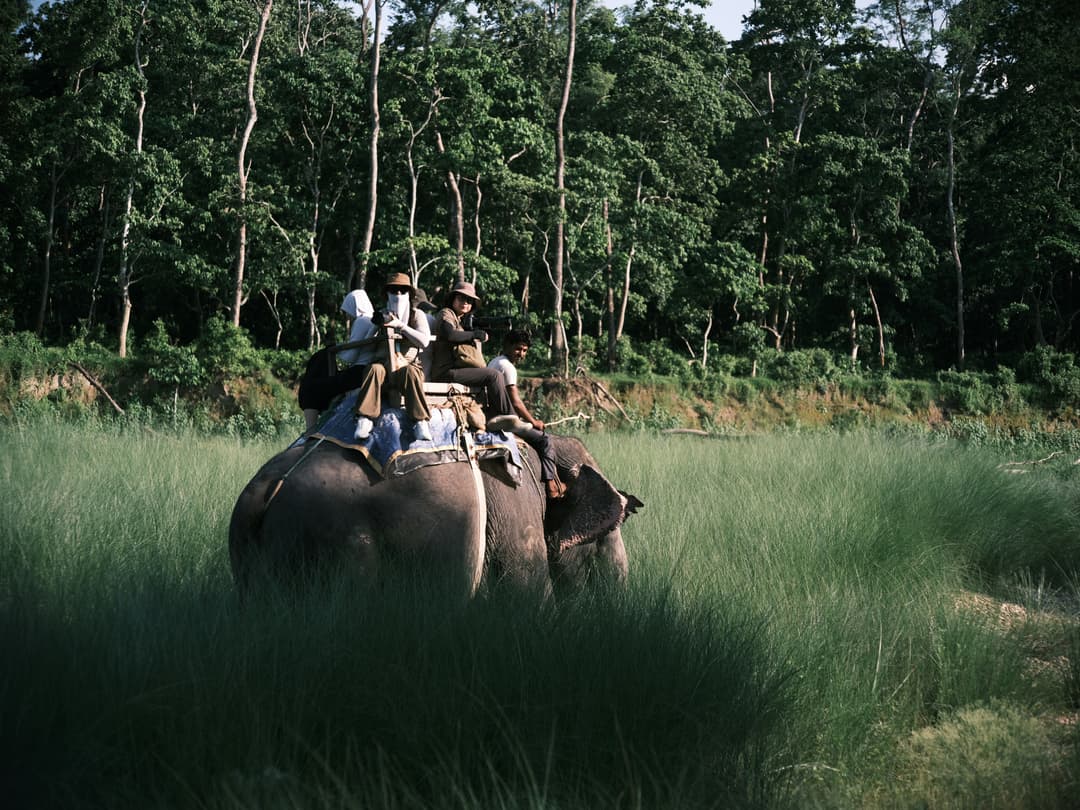 First safari